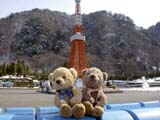 クマのルーニーとミニ東京タワー