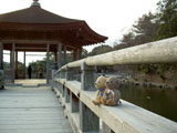 クマのルーニー 奈良公園　浮見堂