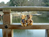 クマのルーニー 奈良公園　浮見堂