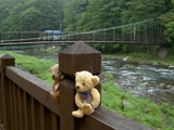 クマのルーニー 紅の吊橋