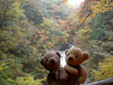 クマのルーニー 西沢渓谷 滝