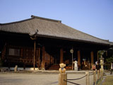 クマのルーニー 西大寺