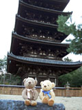 クマのルーニー 興福寺 五重塔