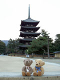 クマのルーニー 興福寺 五重塔