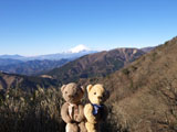クマのルーニー 富士山