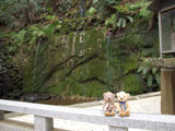 クマのルーニー 滝