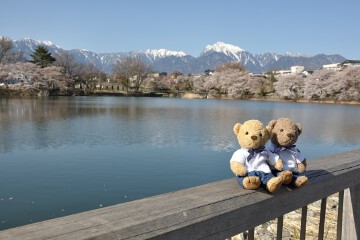 甲斐駒ケ岳と長坂湖