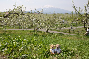 りんご公園
