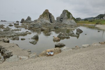 七浦海岸の夫婦岩