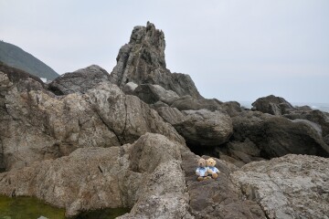 ビシャゴ岩